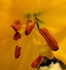 P3300702a